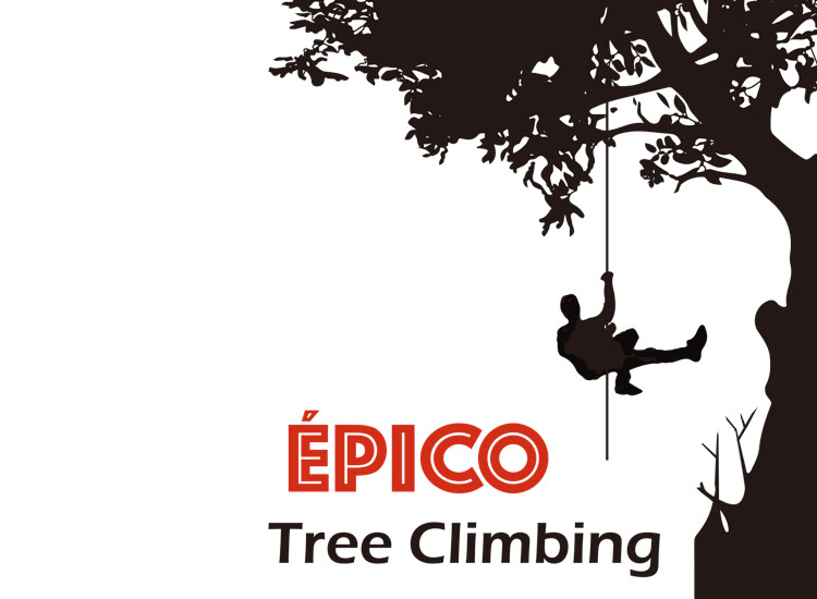 EPICO攀樹安全帶